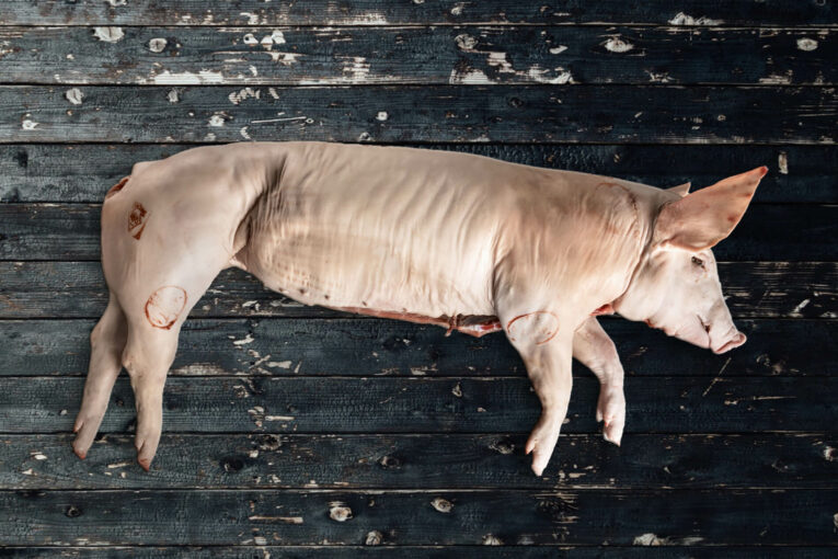 Whole Pig - Carniceria Sarah