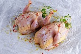 Partridge/Perdiz Frozen